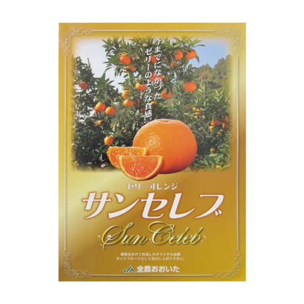 大分県産 ゼリーオレンジ・サンセレブ(お届け期間：11/25〜12/31)【冬の贈りもの・お歳暮】　商品画像2