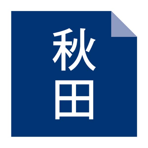 寛文五年堂 いなにわ手綯うどん【冬の贈りもの・お歳暮】[UTR-30]　商品画像2
