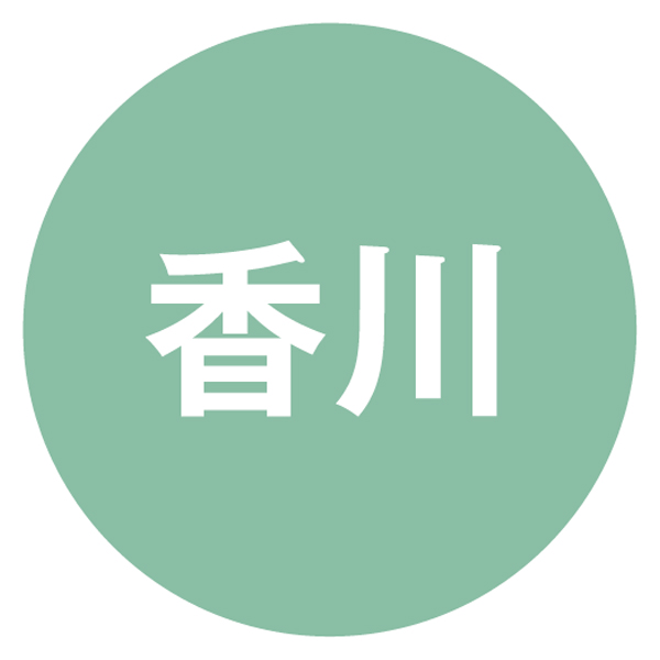 うどん本陣 山田家 レンジで簡単 3種の個食讃岐うどんの詰合せ【冬の贈りもの・お歳暮】[R-3SCK]　商品画像2