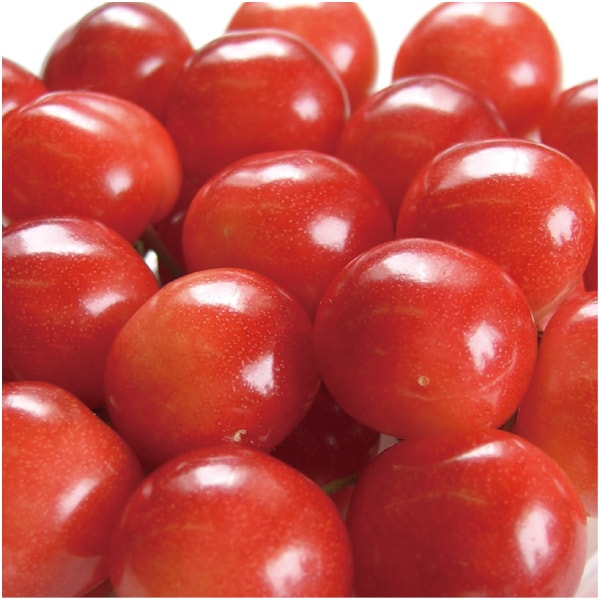 山形県産 ハウス佐藤錦 Lサイズ24個【母の日】 商品画像2