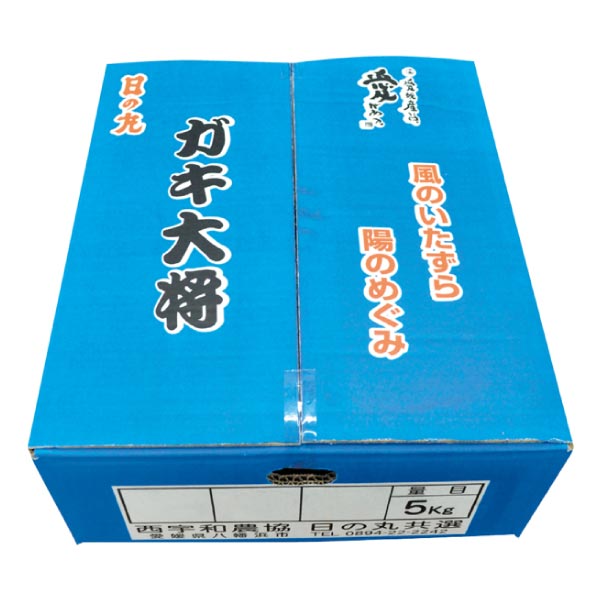 愛媛県産(JAにしうわ日の丸共選) 日の丸みかん「ガキ大将」2L 5kg (お届け期間：12/4〜12/31)【冬ギフト・お歳暮】　商品画像2