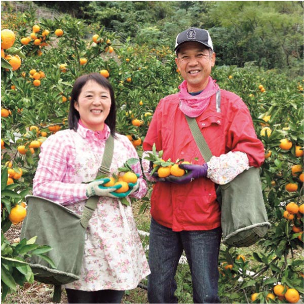 熊本県産(大村農園) 大村農園の天水みかん5kg (お届け期間：12/4〜12/22)【冬ギフト・お歳暮】　商品画像2