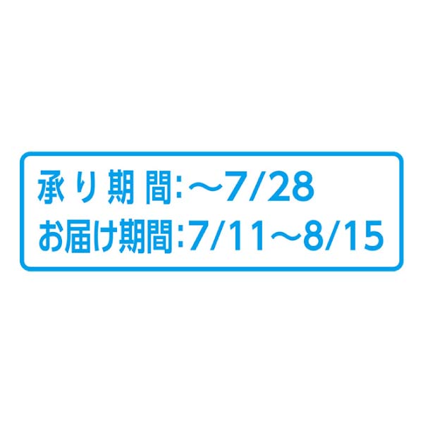 岡山県産 岡山の桃900g(お届け期間：7/11〜8/15)【夏の贈りもの・お中元】　商品画像2