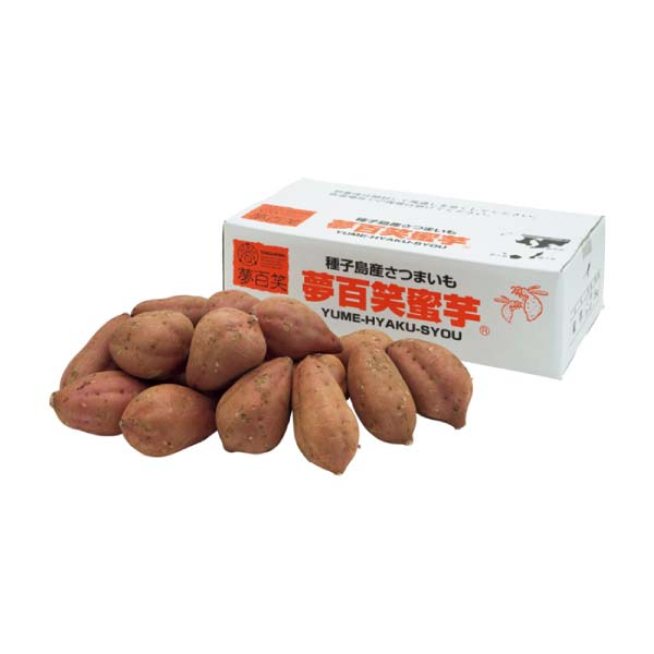 鹿児島県産 種子島 夢百姓安納芋5kg(お届け期間：11/11〜12/31)【冬の贈りもの・お歳暮】　商品画像2