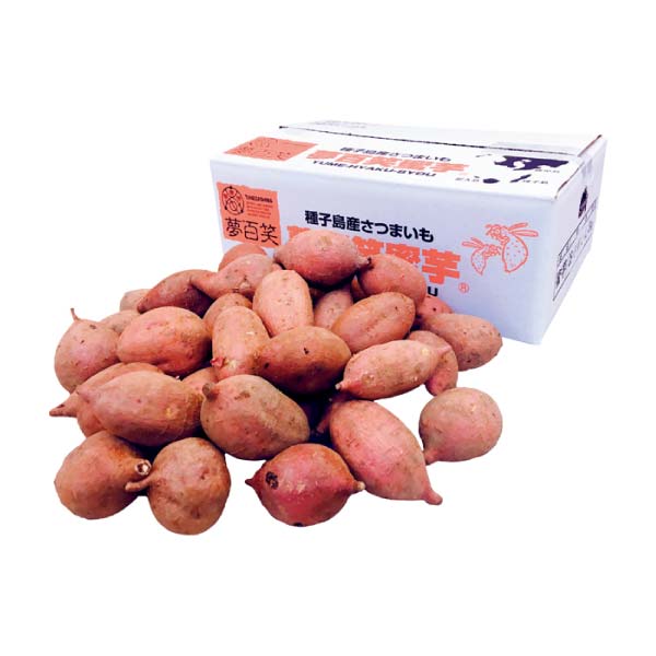 鹿児島県産 種子島 夢百姓安納芋小粒3kg(自宅用)(お届け期間：11/11〜12/31)【冬の贈りもの・お歳暮】　商品画像2