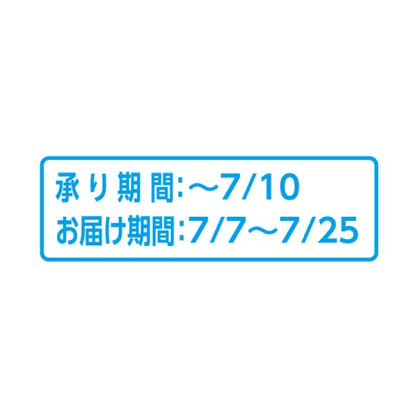 愛知県産(JA愛知みなみ) 愛知みなみハウスみかん(お届け期間：7/7〜7/25)【夏の贈りもの・お中元】　商品画像2
