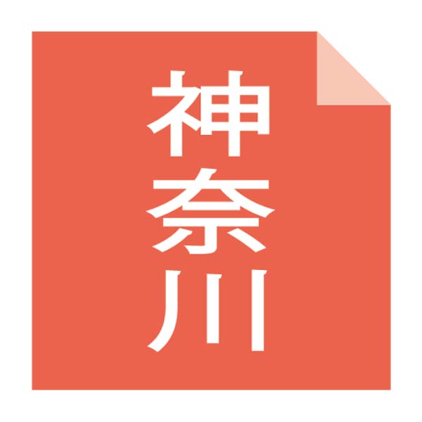 横浜中華街江戸清 中華まん5種詰合せ【冬の贈りもの・お歳暮】[ET-115]　商品画像2