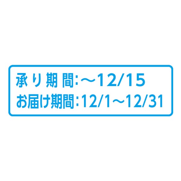 青森県産 シャインマスカットとサンふじりんご (お届け期間：12/1〜12/31)【冬ギフト・お歳暮】　商品画像2