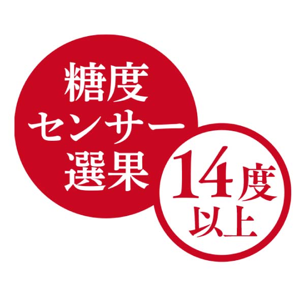 青森県産 高糖度サンふじりんご(お届け期間：12/5〜12/31)【冬の贈りもの・お歳暮】　商品画像2