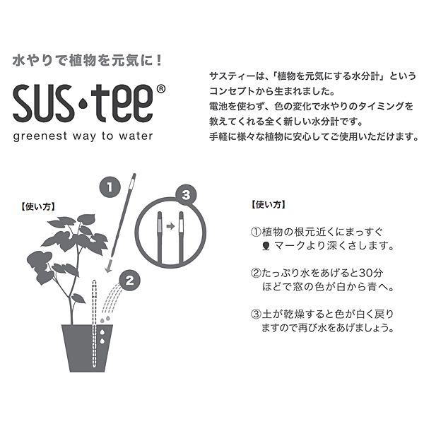 リーフ 観葉植物 ユッカ8寸（SUSTEE付き）【年間ギフト】　商品画像2