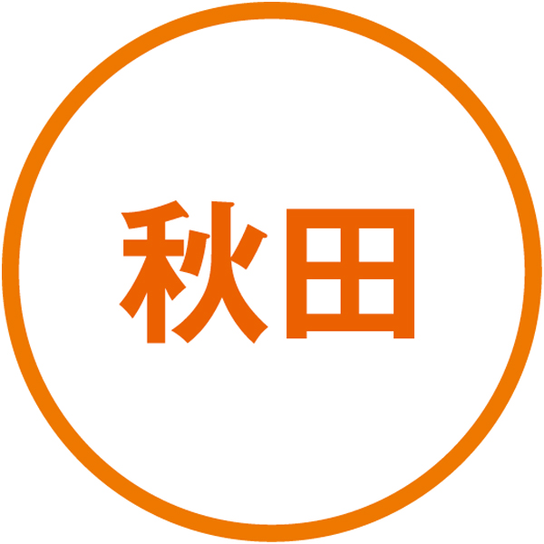 稲庭うどん小川 国産小麦粉の稲庭うどん【冬の贈りもの・お歳暮】[VHM-30]　商品画像2