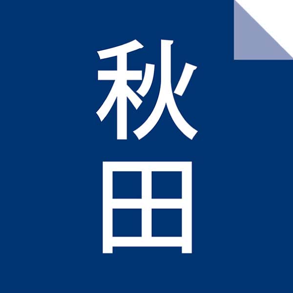 稲庭うどん小川 国産小麦粉の稲庭饂飩・そうめん【夏の贈りもの・お中元】[VHY-50]　商品画像2