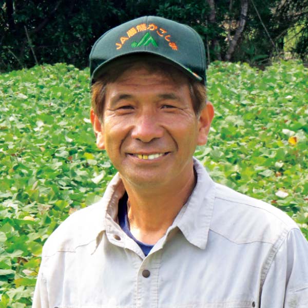 鹿児島県産(JA種子屋久) 安納いも・紅はるかセット(お届け期間:11/11〜12/23)【冬の贈りもの・お歳暮】 商品画像2