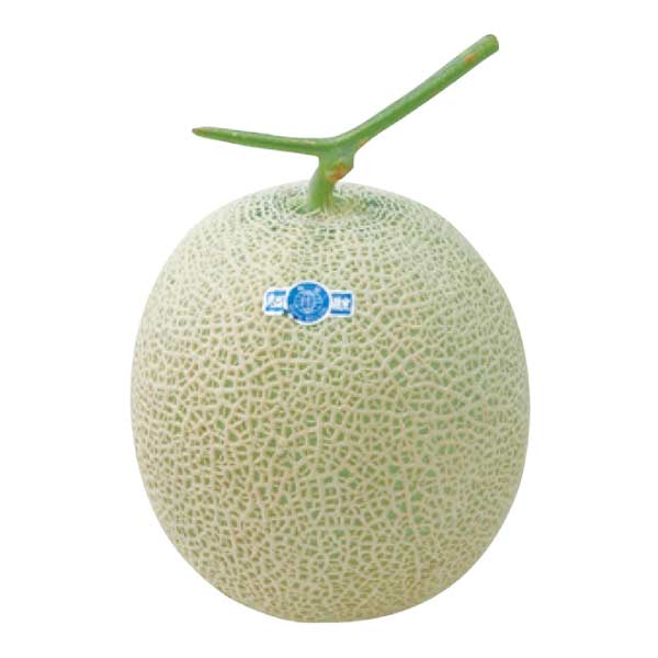 トップバリュ 減の恵み・長崎県産(島原有機会) 村里さんたちのアールスメロン(お届け期間：7/7〜8/15)【夏の贈りもの・お中元】　商品画像2