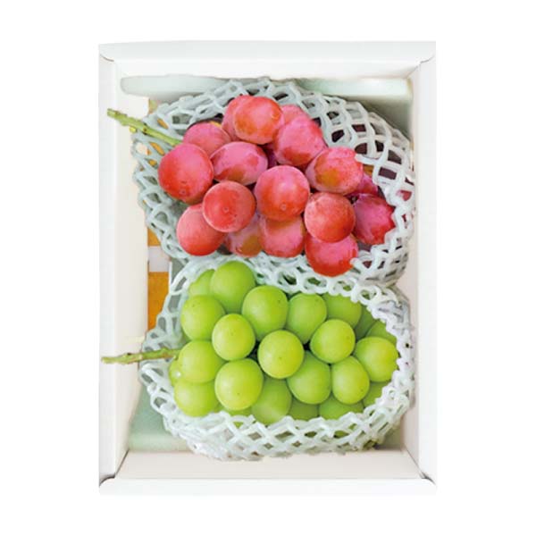 長野県産 2色ぶどう詰合せ(お届け期間:11/11〜12/31)【冬の贈りもの・お歳暮】 商品画像2