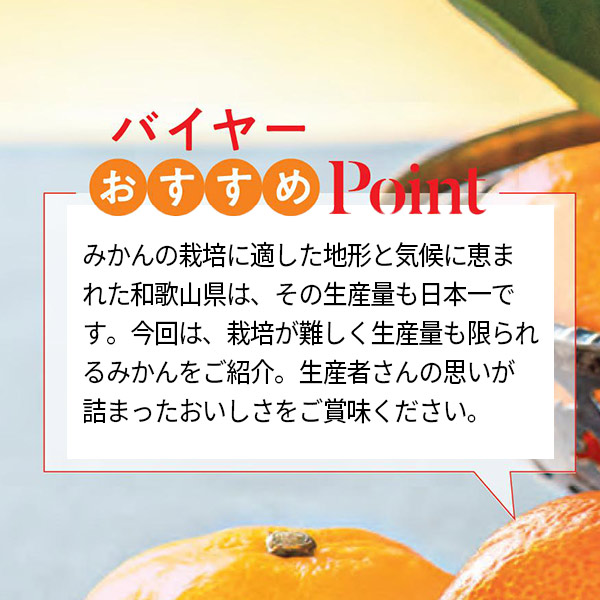 和歌山県産 石地みかん(お届け期間：12/1〜12/31)【冬の贈りもの・お歳暮】　商品画像2