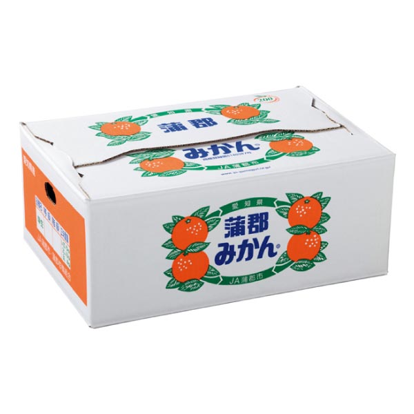 愛知県産 おうち用 蒲郡みかん5kg (お届け期間：11/11〜12/28)【冬ギフト・お歳暮】　商品画像2