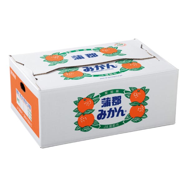 愛知県産 蒲郡みかん5kg (お届け期間：11/11〜12/28)【冬ギフト・お歳暮】　商品画像2