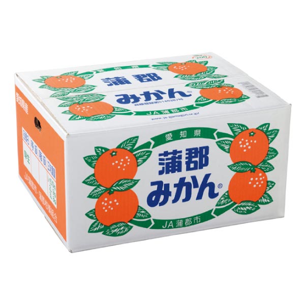 愛知県産 蒲郡みかん10kg (お届け期間：11/11〜12/28)【冬ギフト・お歳暮】　商品画像2