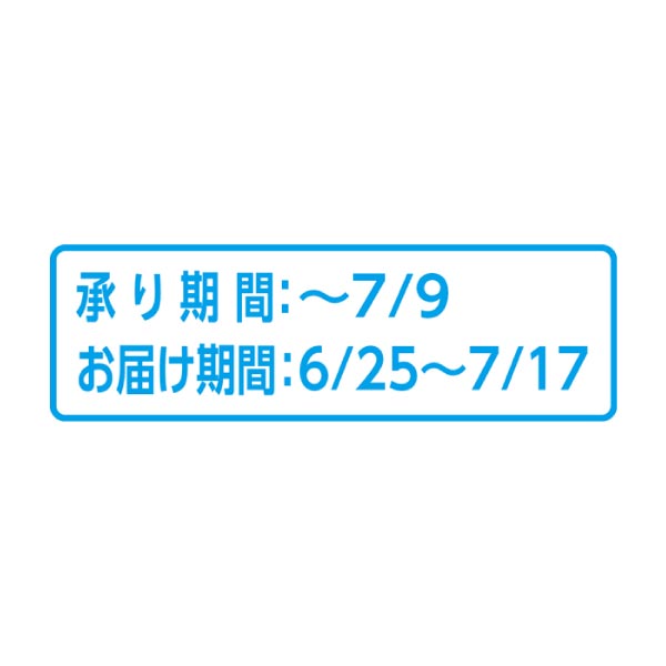 北海道産(JA新おたる) 佐藤錦 600g(お届け期間：6/25〜7/17)【夏の贈りもの・お中元】　商品画像2