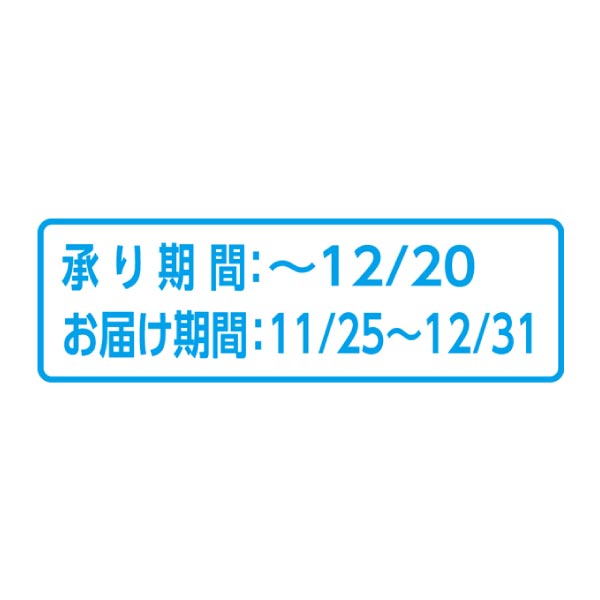 長野県産(JAながの山ノ内地区) サンふじりんご (お届け期間：11/25〜12/31)【冬ギフト・お歳暮】　商品画像2