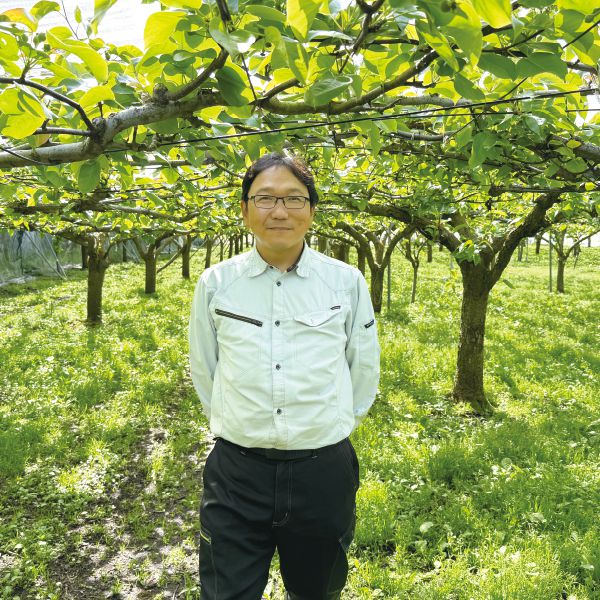 栃木県産大田原市湯津上地区江崎哲治さんちの幸水梨4L・5kg・12玉「お届け期間」2025/8/18〜2025/9/10【KN】　商品画像2
