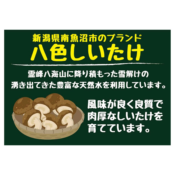 新潟県産 八色しいたけ(菌床栽培)900g箱【お届け期間 11／18〜12／21】【ふるさとの味・北陸信越】　商品画像2