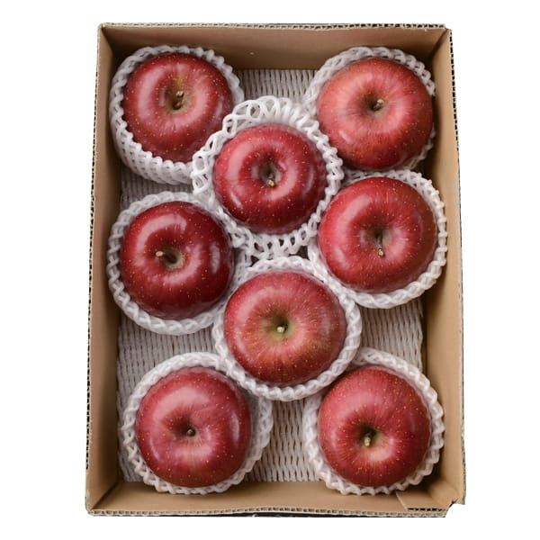 長野県(波田地区)産 波 果樹クラブのサンふじ16玉〜18玉入(4.8kg以上)【CB】　商品画像2