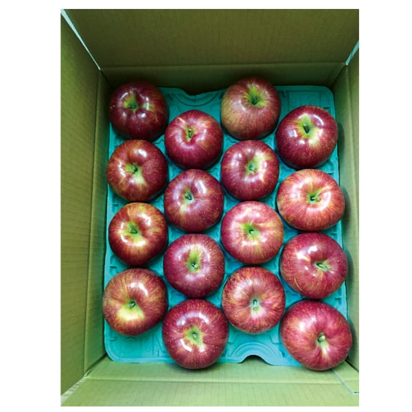 長野県(高山村)産 名倉さんちのサンふじりんご16玉入(4.8kg以上)【CB】　商品画像2