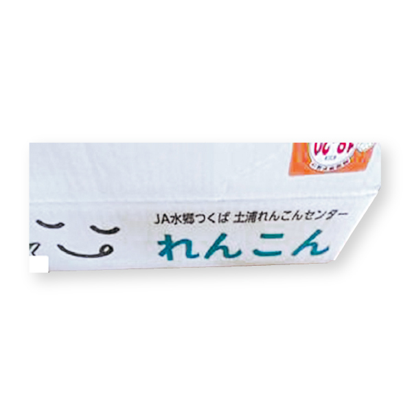 茨城県 JA水郷つくば れんこん4kgギフト【お届け期間：12/3 〜12/26 】【ふるさとの味・北関東】　商品画像2