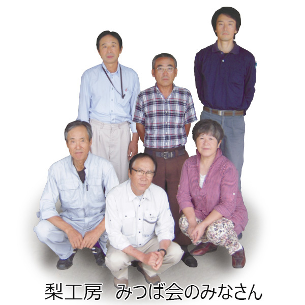 新潟県産(加茂市、三条市地区)みつば会の豊水梨 4.8kg以上(8〜14玉)【お届け期間 9/5〜9/25】【ふるさとの味・北陸信越】　商品画像2