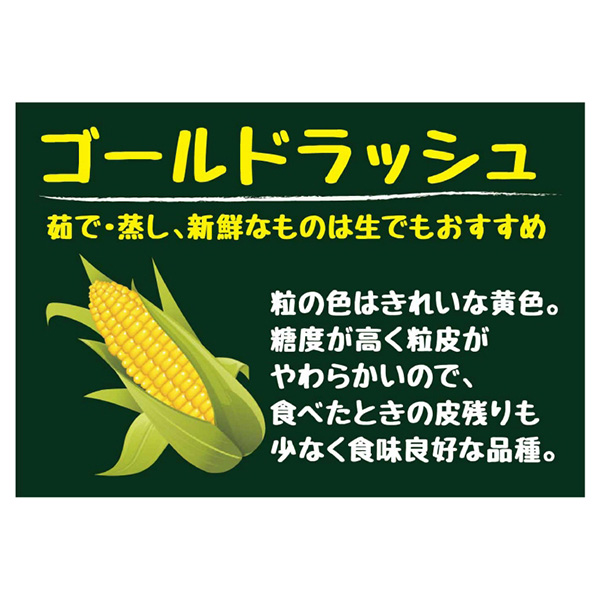 オプティミスティック 鹿児島県産 ヤングコーン 50〜60本 箱込み4キロ