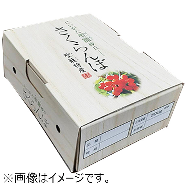 小林農園のさくらんぼ(佐藤錦)Lサイズ450g以上並び詰め【お届け期間:6/10〜7/5】【ふるさとの味・北陸信越】　商品画像2