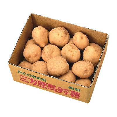 静岡県産（JAとぴあ浜松） 三方原馬鈴薯 3kg/1箱（産地箱）【ふるさとの味・東海】　商品画像2
