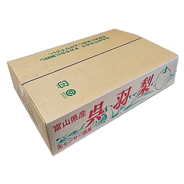 富山県呉羽産 あきづき梨 4L〜5Lサイズ 5kg以上(10〜12玉)【CB】　商品画像2