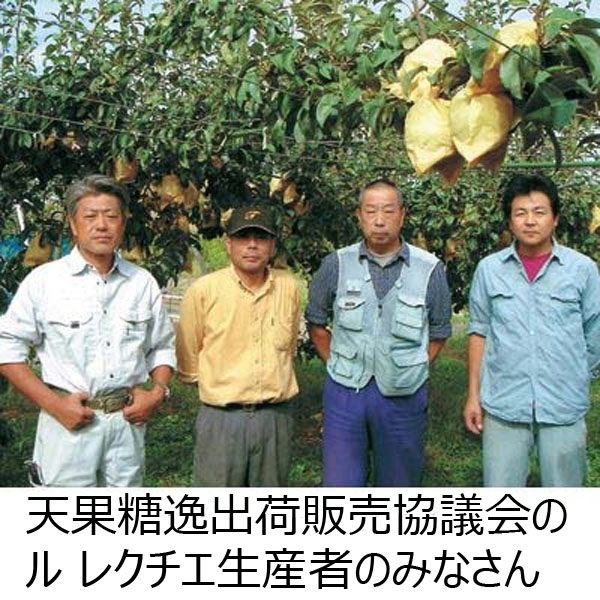 新潟県産(JAえちご中越(三条市・加茂市地区))天果糖逸出荷販売協議会 ル レクチエ 2.9kg以上(7〜11玉)【お届け期間 11／18〜12／28】【ふるさとの味・北陸信越】　商品画像2