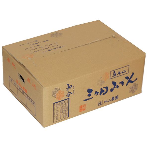 静岡県産(三ヶ日町 外山農園)三ケ日みかん(早生) 秀品 Sサイズ 5kg【限定50箱】【お届け期間：12/2(月)〜12/17(火)】【ふるさとの味・東海】　商品画像2