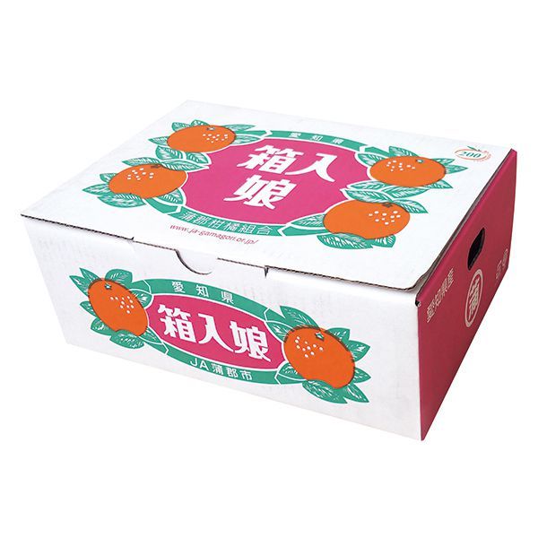 愛知県産(JA蒲郡市)箱入り娘 Sサイズ3kg【お届け期間：12/5(木)〜12/19(木)】【ふるさとの味・東海】　商品画像2