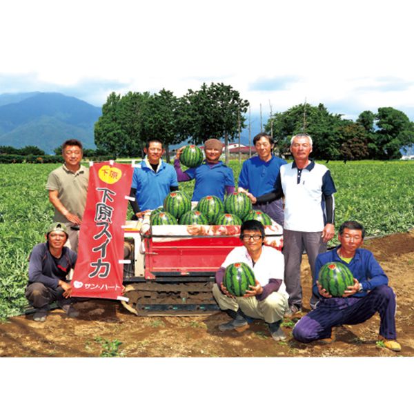 長野県(松本市波田地区) 下原すいか(サンハート)【CB】　商品画像2