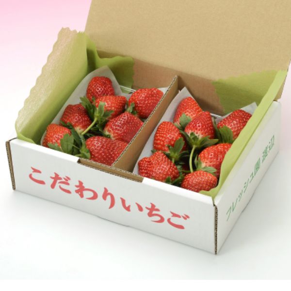 栃木県産フレッシュ園渡辺 つる付きいちご（とちおとめ）C 2パック入り【ふるさとの味・南関東】 いちご