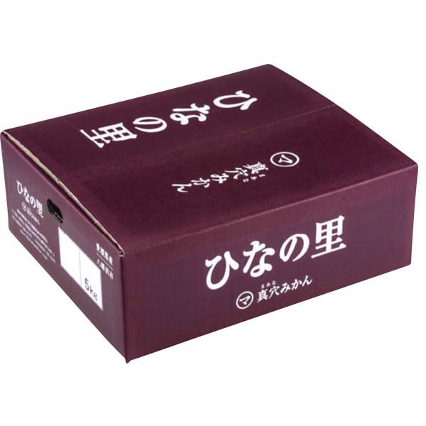 愛媛県産(JAにしうわ・真穴共選)ひなの里みかん 計5kg以上・Lサイズ【お届け期間:11月21日〜12月28日】【ふるさとの味・中四国】　商品画像2