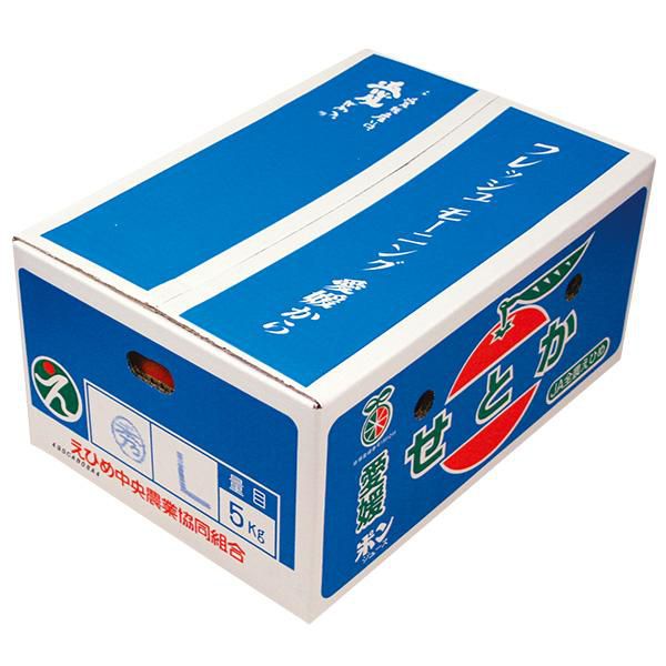 愛媛県産せとか計1．５Kg以上・３Ｌ-Ｌサイズ ５〜９玉【お届け期間：2