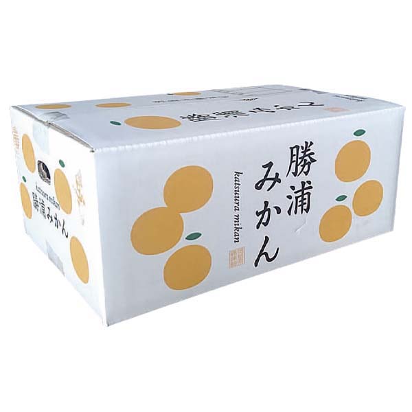 徳島県産 勝浦みかん 計5kg以上・Mサイズ【お届け期間:12月1日〜12月28日】【ふるさとの味・中四国】　商品画像2