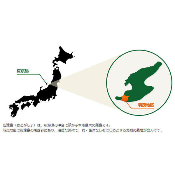 新潟県佐渡市産（JA羽茂地区）JA羽茂のおけさ柿 Ｍサイズ（40玉・7kg）【ふるさとの味・北陸信越】 | 柿 - イオンショップ