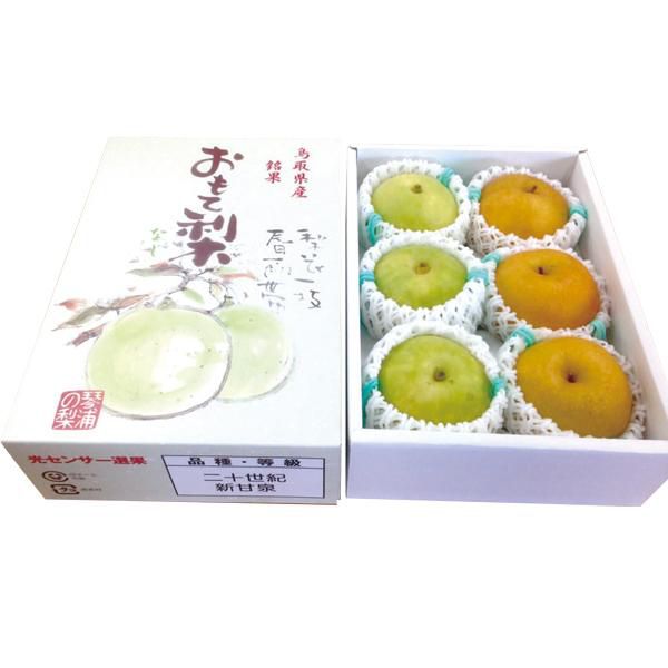 鳥取県産(JA鳥取中央) 琴浦の二十世紀梨＋新甘泉梨 赤秀1.8kg3L6玉(二十世紀梨3玉・新甘泉梨3玉)(お届け期間:8月26日〜9月25日)【NN】　商品画像2