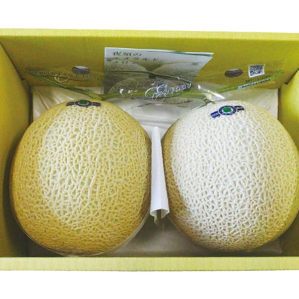 高知県産(JA高知県) エメラルドメロン化粧箱 秀L・2個入り【お届け期間:11月21日〜12月28日】【旬鮮便】【NN】　商品画像2