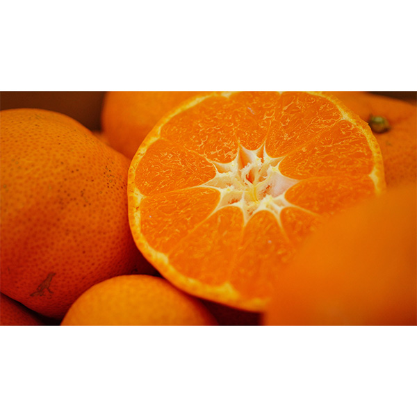 静岡県産(三ケ日) 熟果みかん 青島種 3kg【お届け期間:1月5日〜1月31日】【お買い得セール12月】 商品画像1