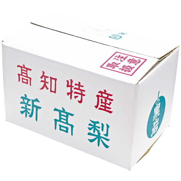 高知県産(佐川町)(黒岩)新高梨 計1.2kg以上・2玉入り【お届け期間:10月5日〜10月20日】【ふるさとの味・中四国】　商品画像2