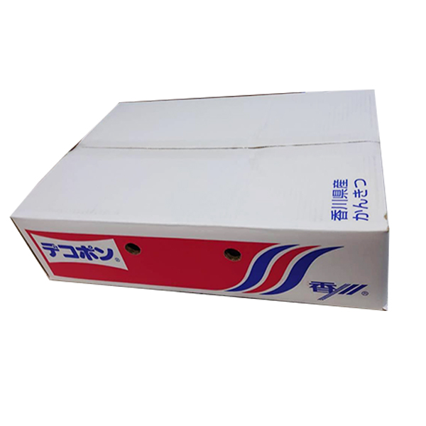 香川県(JA香川県) デコポン 計2.8kg以上 8〜12玉【お届け期間:4月6日〜5月30日】【NN】　商品画像2