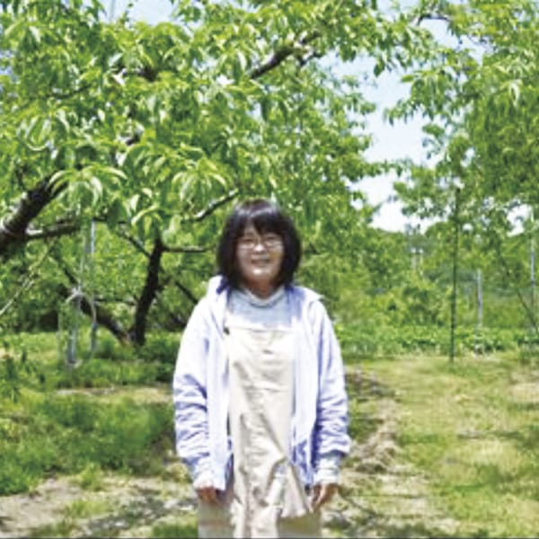 岡山県産(倉敷市玉島地区)三谷さんの白鳳 計1.5kg以上・6個入り【お届け期間:7月4日〜7月31日】【旬鮮便】【NN】　商品画像2
